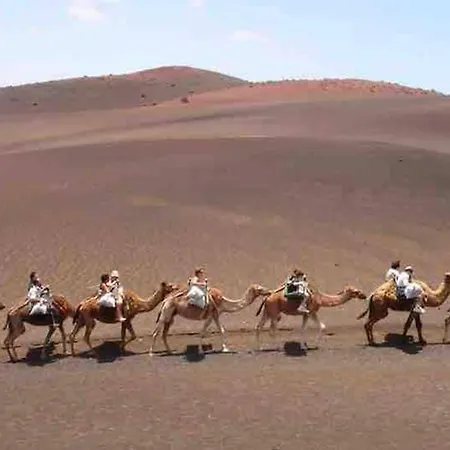 Pola Marinas וילה