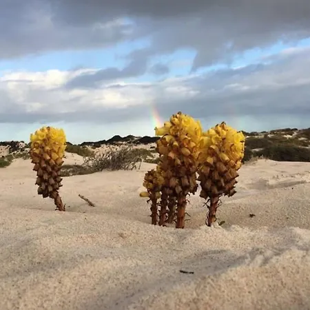 Pola Marinas וילה פלאיה בלנקה